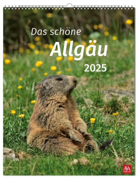 Bildkalender - Das schöne Allgäu 2025